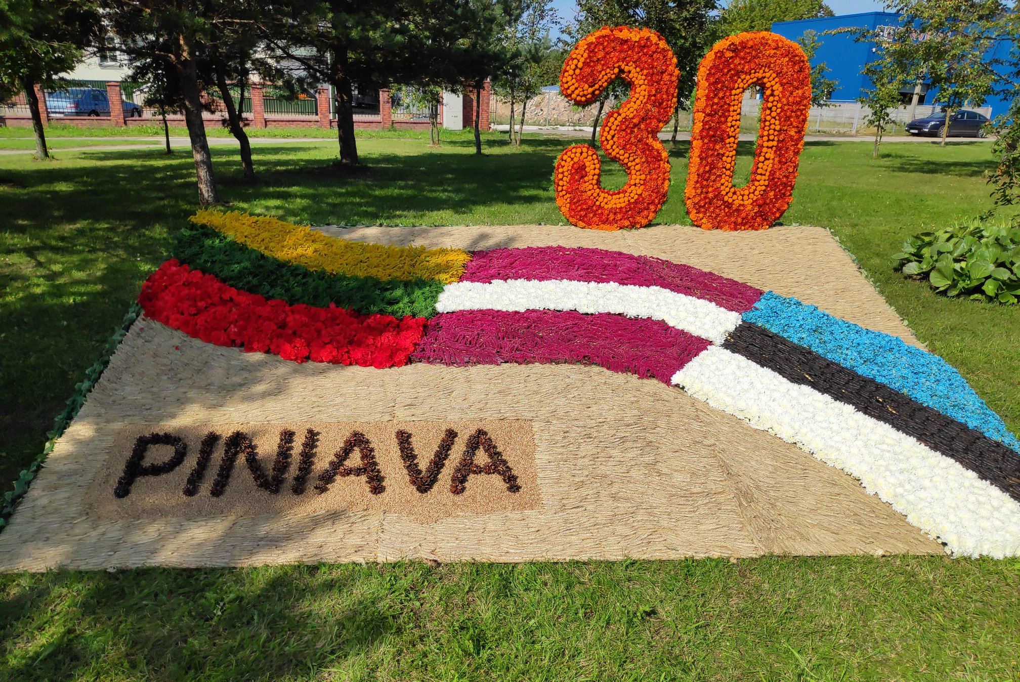 Piniavoje  suplevėsavo šešių šimtų Lietuvos, Latvijos, Estijos vėliavų spalvų balionų jūra!